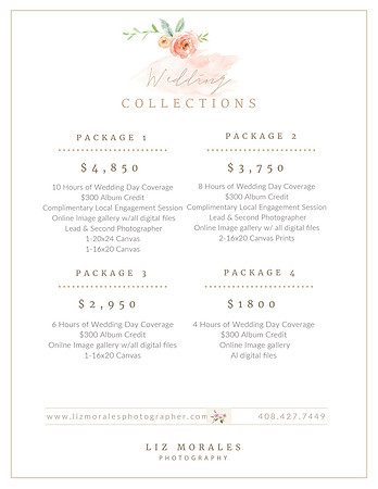 LIZ WEDDING PRICES 2023